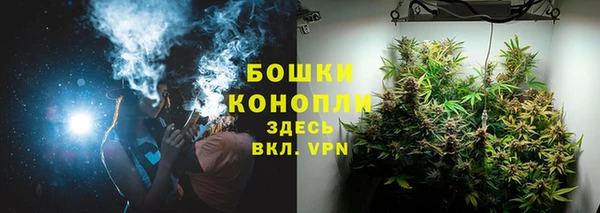 спайс Арсеньев